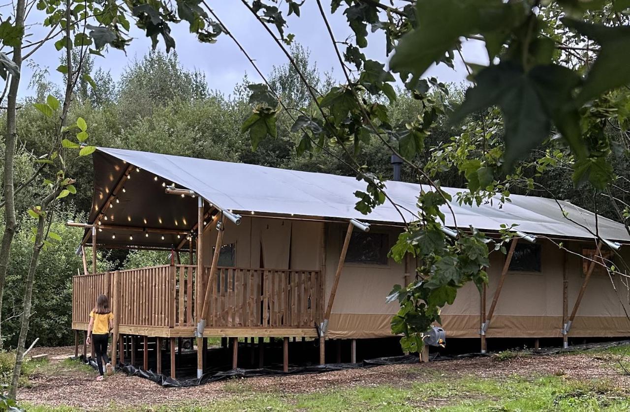 Cherry Tree Safari Lodge Talaton Eksteriør billede